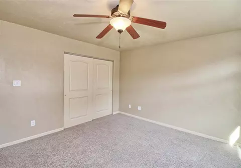 878 Esprit Ln, Fruita, CO 81521 photo 31