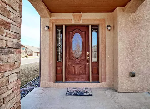 878 Esprit Ln, Fruita, CO 81521 photo 4