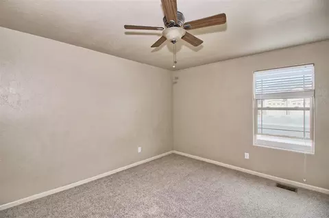 878 Esprit Ln, Fruita, CO 81521 photo 33