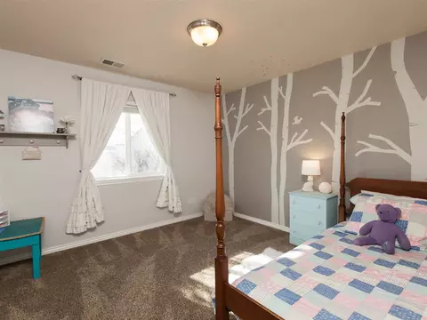 944 Celestite Dr, Fruita, CO 81521 photo 15