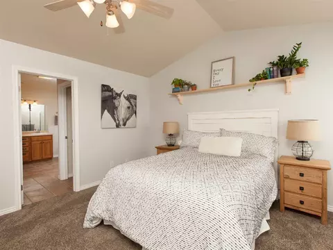 944 Celestite Dr, Fruita, CO 81521 photo 11