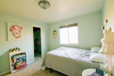 1393 E Carolina Ave, Fruita, CO 81521 photo 10