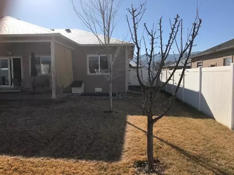 611 Beech Ave, Fruita, CO 81521 photo 3