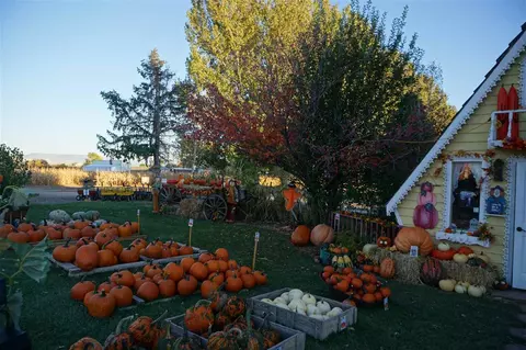 1360 18 12 Rd, Fruita, CO 81521 photo 25