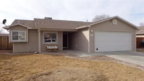225 Narrow Leaf Dr, Fruita, CO 81521 photo 1