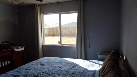 225 Narrow Leaf Dr, Fruita, CO 81521 photo 7