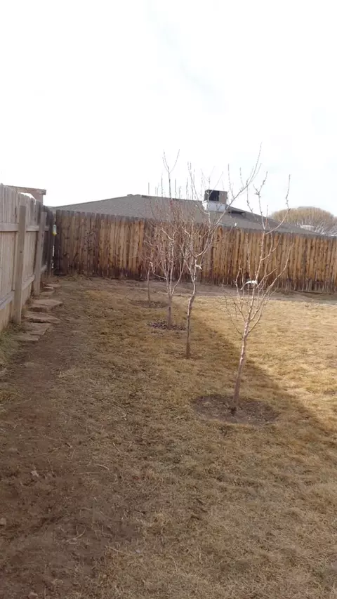 225 Narrow Leaf Dr, Fruita, CO 81521 photo 18