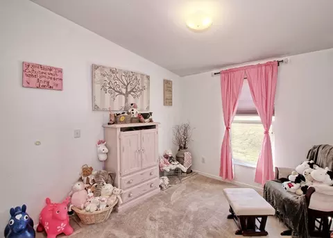 8525 Bean Ranch Rd, Whitewater, CO 81527 photo 24