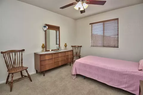 267 Narrow Leaf Dr, Fruita, CO 81521 photo 14