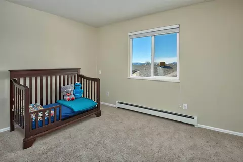 902 Elberta Dr, Fruita, CO 81521 photo 17