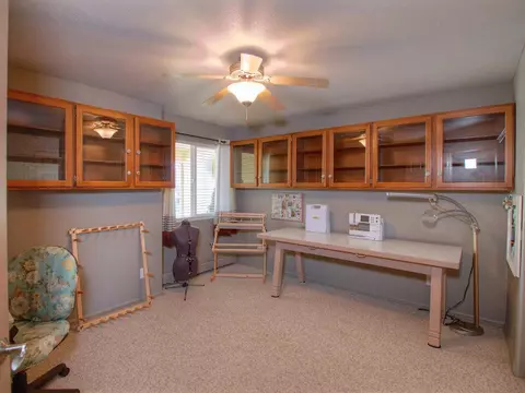 937 Elberta Dr, Fruita, CO 81521 photo 15