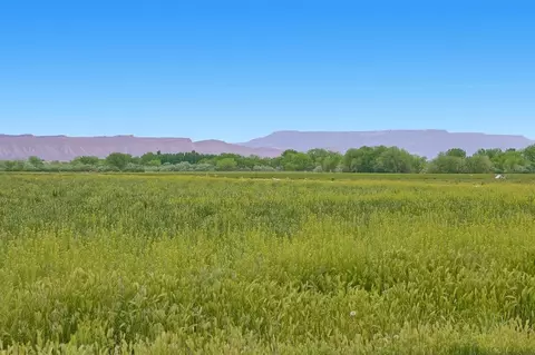 1355 20 Rd, Fruita, CO 81521 photo 35