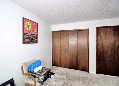 1355 20 Rd, Fruita, CO 81521 photo 23