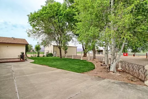 1355 20 Rd, Fruita, CO 81521 photo 5