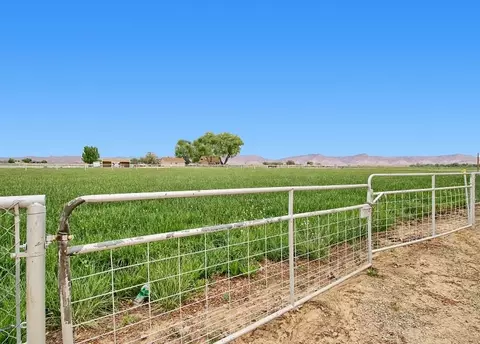 1355 20 Rd, Fruita, CO 81521 photo 34