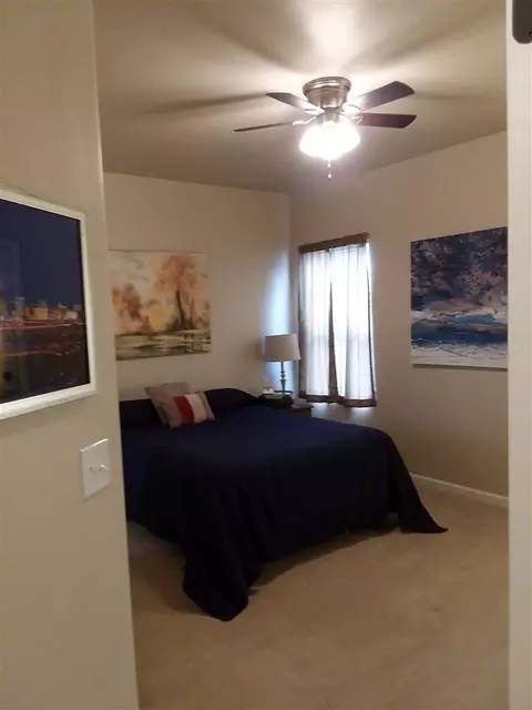 520 Gewont Ln, Fruita, CO 81521 photo 10