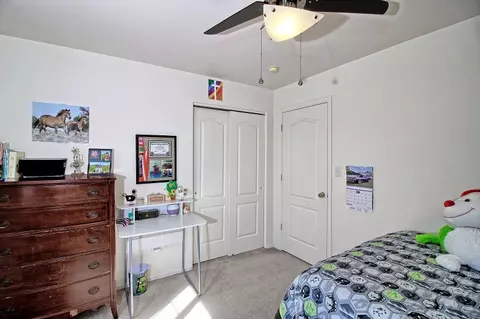 163 Sierra Dr, Fruita, CO 81521 photo 23