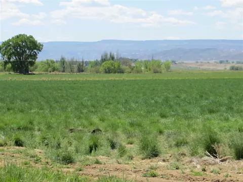 906 S Rd, Mack, CO 81525 photo 3