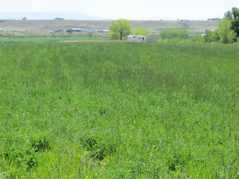 906 S Rd, Mack, CO 81525 photo 5