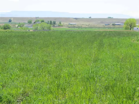 906 S Rd, Mack, CO 81525 photo 10