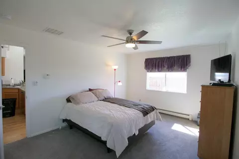 297 Narrow Leaf Dr, Fruita, CO 81521 photo 14