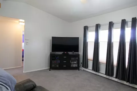 297 Narrow Leaf Dr, Fruita, CO 81521 photo 4