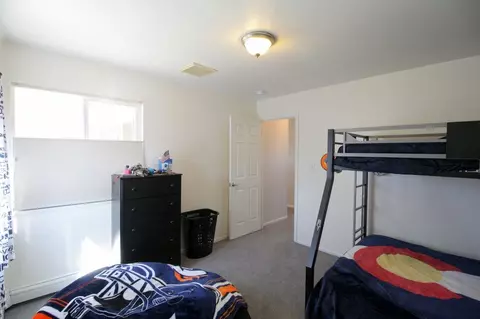 297 Narrow Leaf Dr, Fruita, CO 81521 photo 22