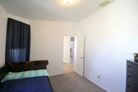 297 Narrow Leaf Dr, Fruita, CO 81521 photo 25