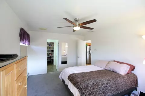 297 Narrow Leaf Dr, Fruita, CO 81521 photo 15