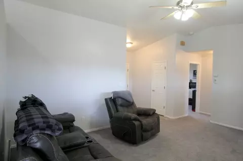 297 Narrow Leaf Dr, Fruita, CO 81521 photo 3