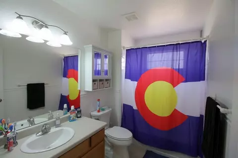 297 Narrow Leaf Dr, Fruita, CO 81521 photo 23