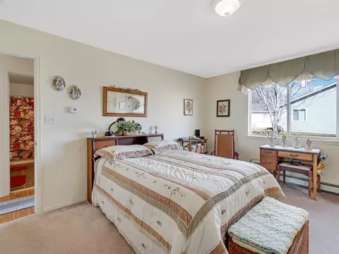 507 Middlebury Ct, Fruita, CO 81521 photo 10