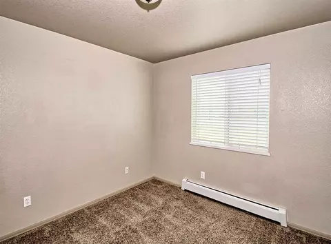 224 Sargent Cir, Fruita, CO 81521 photo 18