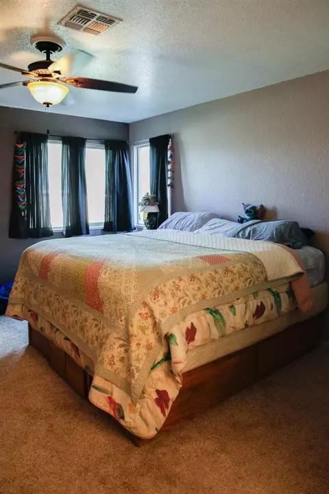 223 Drumlin Cir, Fruita, CO 81521 photo 11