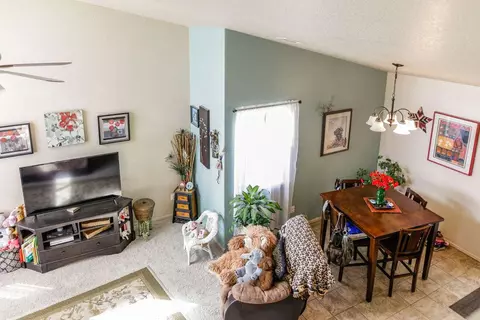 223 Drumlin Cir, Fruita, CO 81521 photo 7