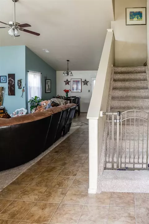 223 Drumlin Cir, Fruita, CO 81521 photo 3