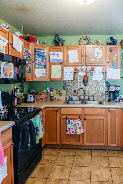 223 Drumlin Cir, Fruita, CO 81521 photo 9