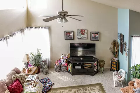 223 Drumlin Cir, Fruita, CO 81521 photo 6