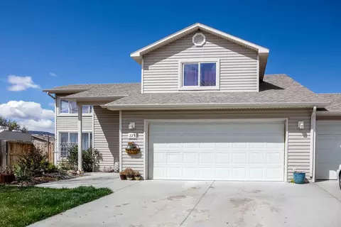 223 Drumlin Cir, Fruita, CO 81521 photo 22