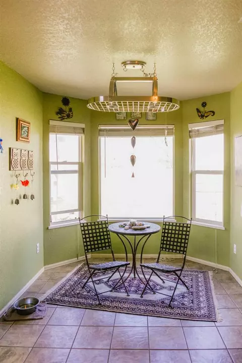 223 Drumlin Cir, Fruita, CO 81521 photo 10