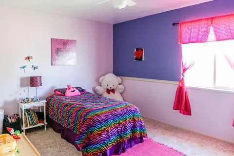 223 Drumlin Cir, Fruita, CO 81521 photo 15