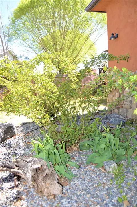440 Tara Dr, Fruita, CO 81521 photo 41