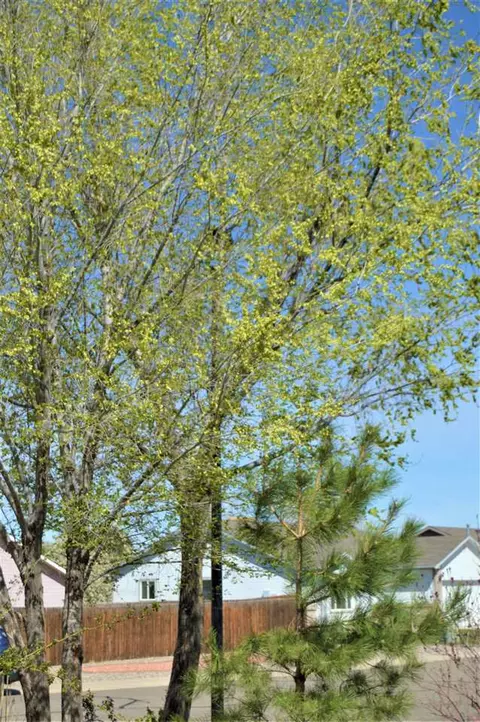 440 Tara Dr, Fruita, CO 81521 photo 42