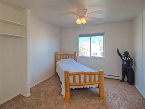 116 Elderberry Dr, Fruita, CO 81521 photo 23