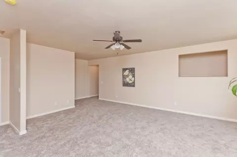 916 Echo Canyon St, Fruita, CO 81521 photo 30