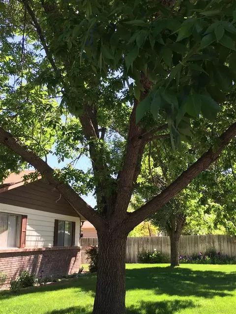2358 E Rd, Grand Junction, CO 81507 photo 2
