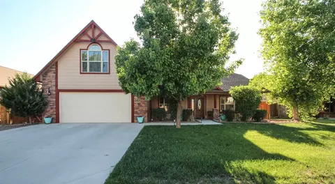 585 Cougar Run, Fruita, CO 81521 photo 1