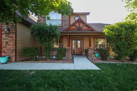 585 Cougar Run, Fruita, CO 81521 photo 2