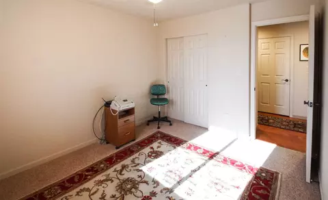585 Cougar Run, Fruita, CO 81521 photo 24