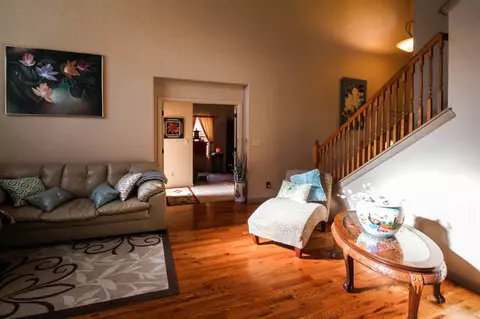 585 Cougar Run, Fruita, CO 81521 photo 20